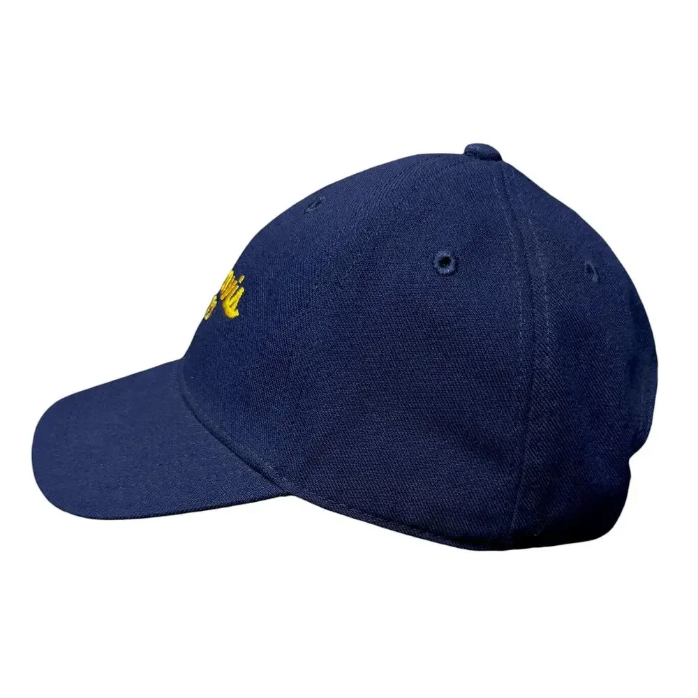UC Davis Aggies Strapback Hat Cap Blue Yellow Rare Italics Legacy Football